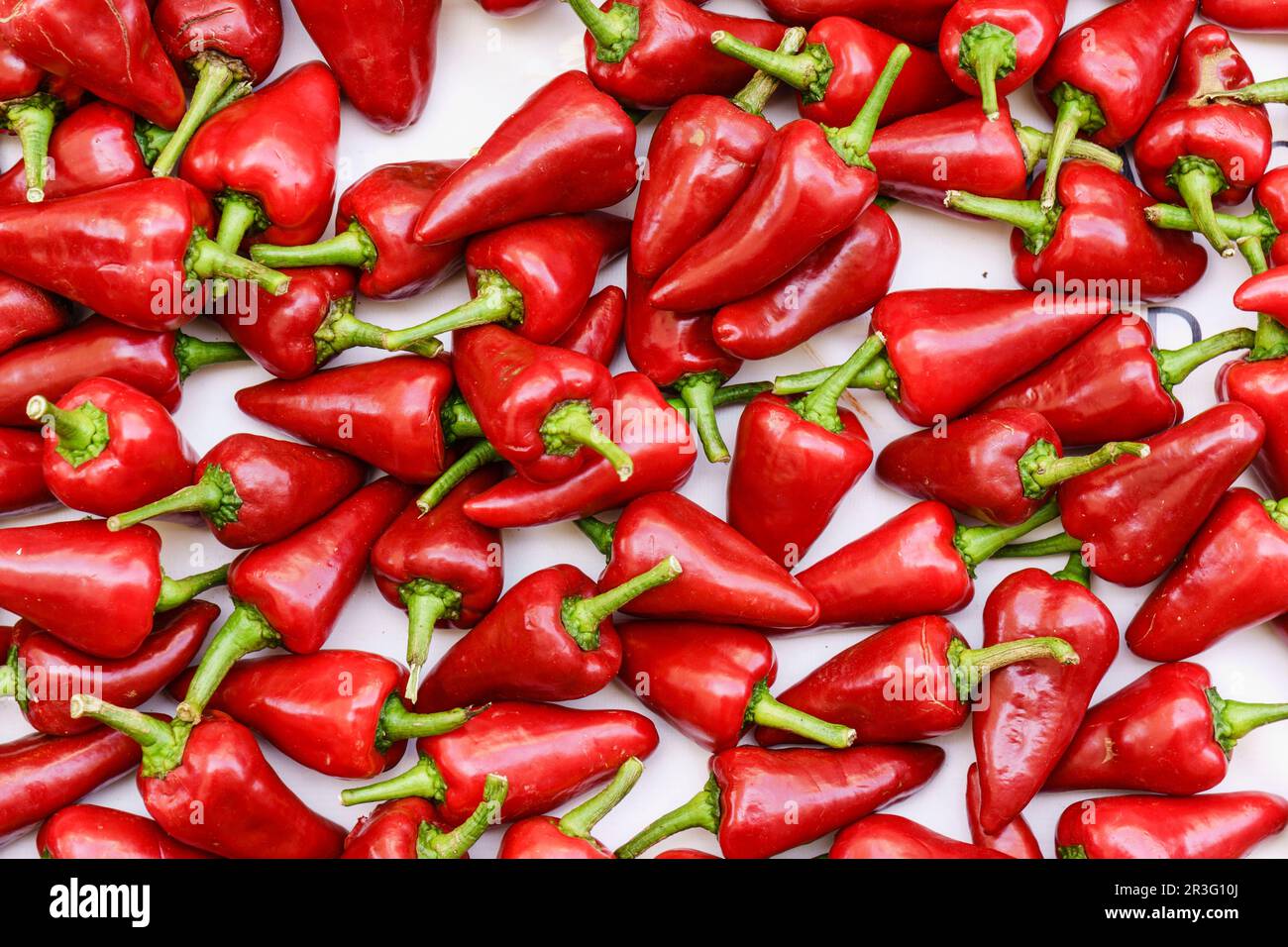 Pimientos De La Variedad lokalen Tippen Sie auf De Corti, Mercado al Aire Libre, Porreres, Mallorca, Islas Baleares, Spanien. Stockfoto