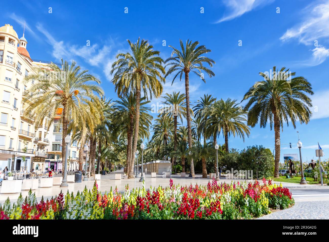 Alicante Alacant Boulevard Esplanada d'Espanya Urlaubsreise Stadt in Spanien Stockfoto