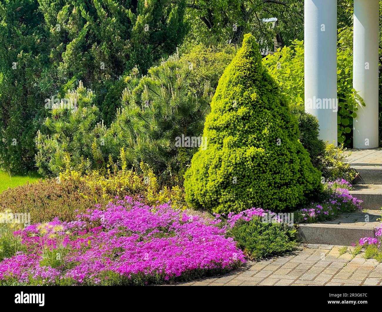 Gartenlandschaft mit blühenden Pflanzen und immergrünen Zierpflanzen. Gartenkonzept. Stockfoto