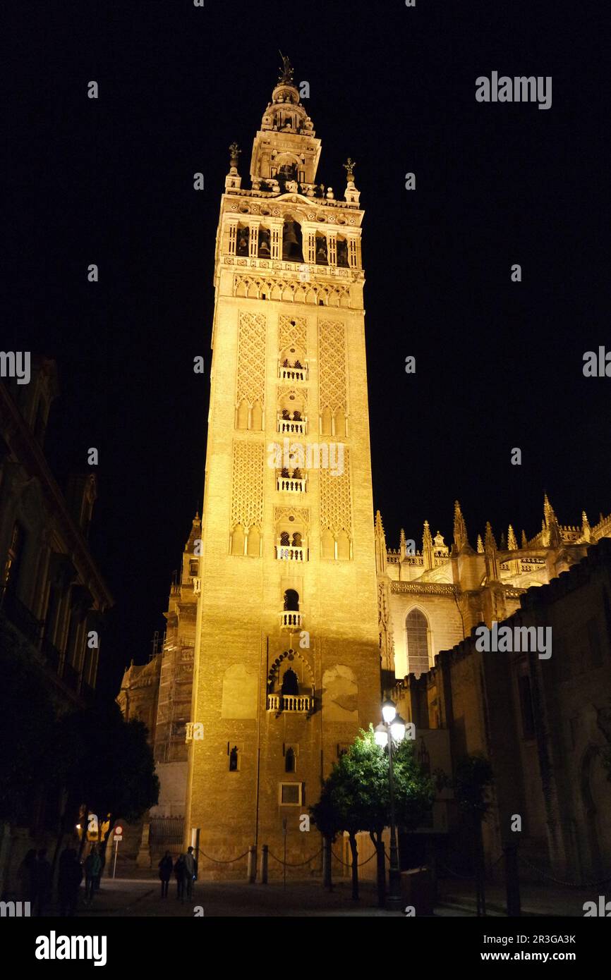 Giralda-Turm bei Nacht, Sevilla Stockfoto