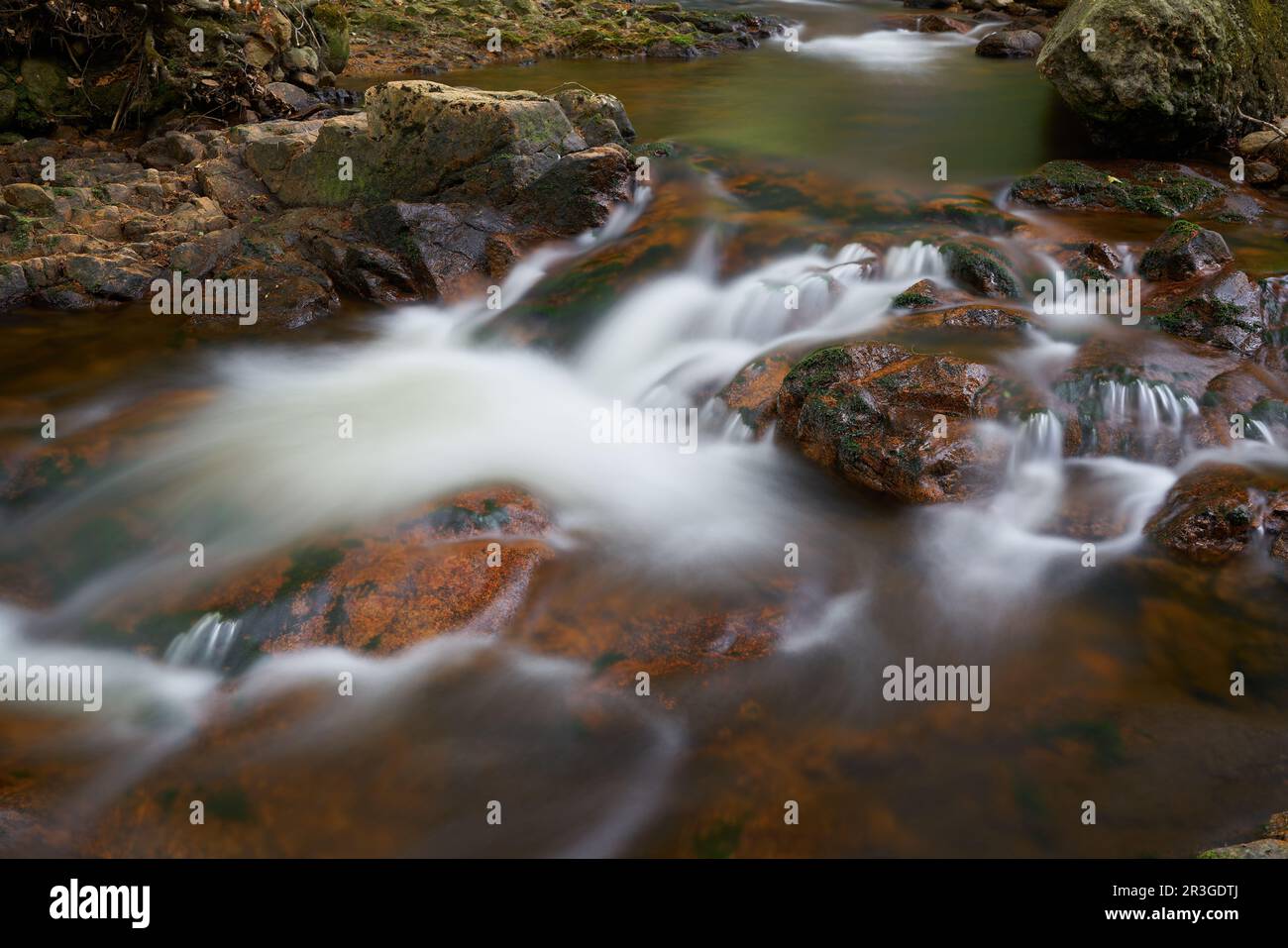 Der romantische Fluss Ilse in der Nähe von Ilsenburg am Fuße des Brocken im Harz-Nationalpark in Germa Stockfoto