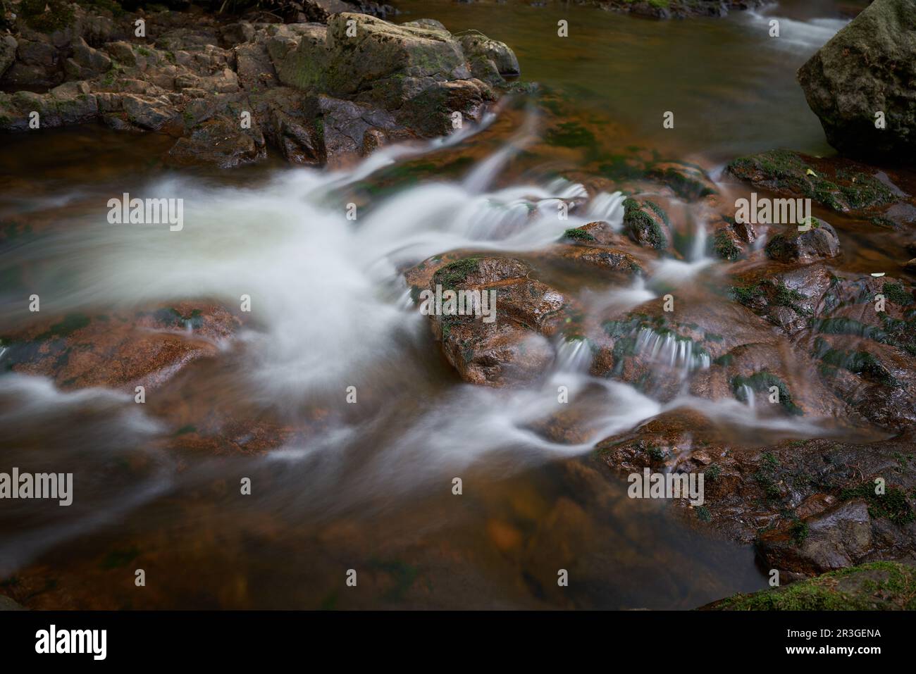 Der romantische Fluss Ilse bei Ilsenburg am Fuße des Brocken im Harz-Nationalpark Deutschland Stockfoto