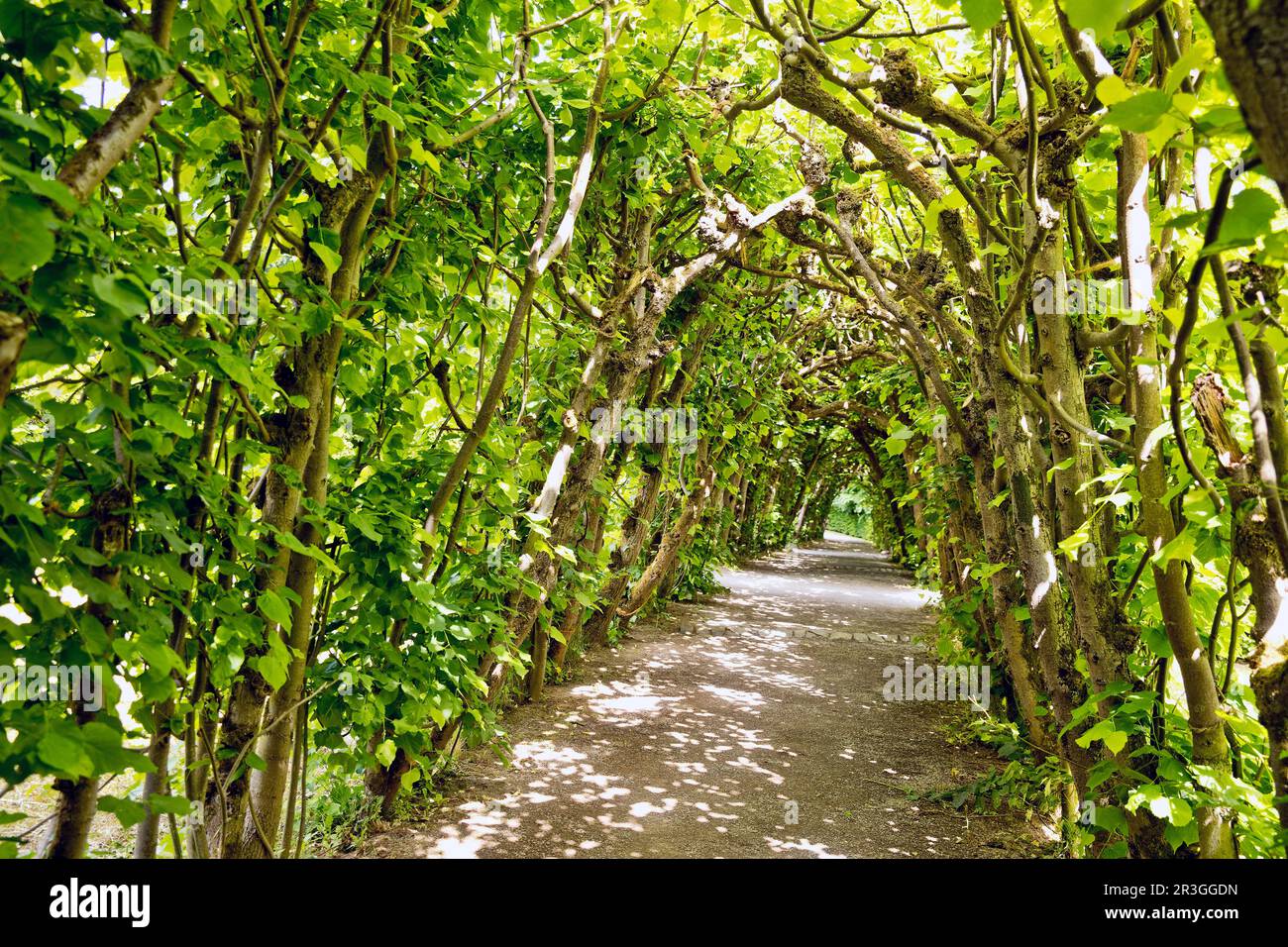 Bergpark Wilhelmshöhe, UNESCO-Weltkulturerbe, Kassel, Hessen, Deutschland, Europa Stockfoto