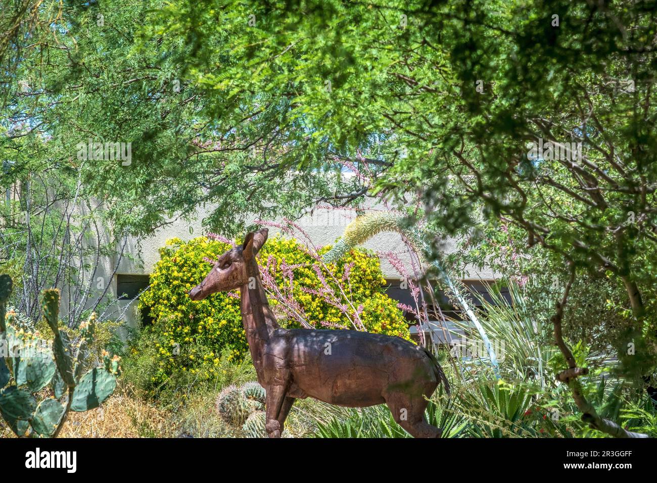 Skulpturierte Metallhirsche im Tohono Chul Park, Tucson, Arizona, USA Stockfoto