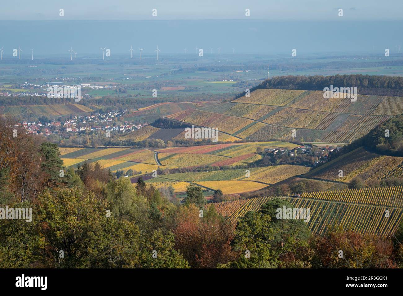 Golden October in der Nähe von Loewenstein Stockfoto