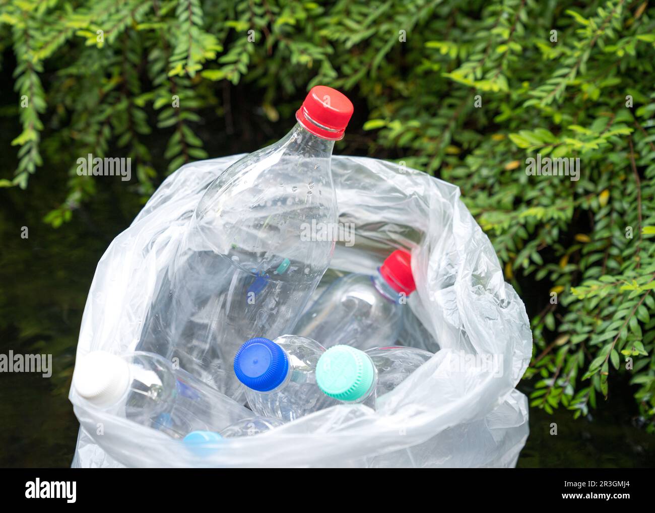 Plastikflaschen schwimmend auf Wasseroberfläche. Verschmutzungs- oder Müllkonzept. Stockfoto