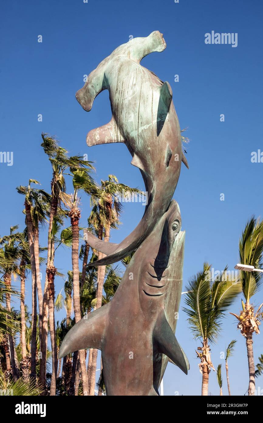 Hammerhai-Statue auf dem Malecón in La Paz, Baja California, Mexiko Stockfoto