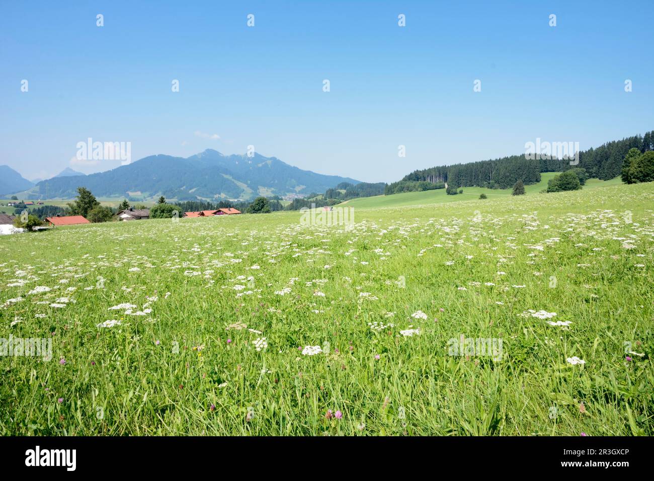 Idyllische Landschaft im Allgaeu (Bayern) (Deutschland) Stockfoto