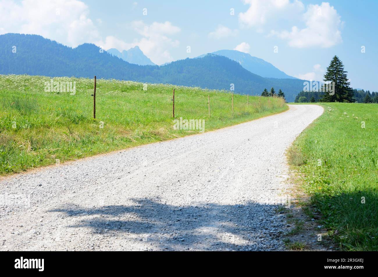 Idyllische Landschaft im Allgaeu (Bayern) (Deutschland) Stockfoto