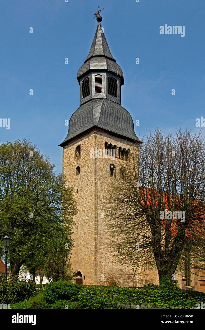 Protestantische Altstadt Kirche, 1150 als romanische Säulenbasilika erbaut, 1330 gotische Rekonstruktion, 1310 Passionsaltar, Hofgeismar, Ldkrs. Kassel Stockfoto