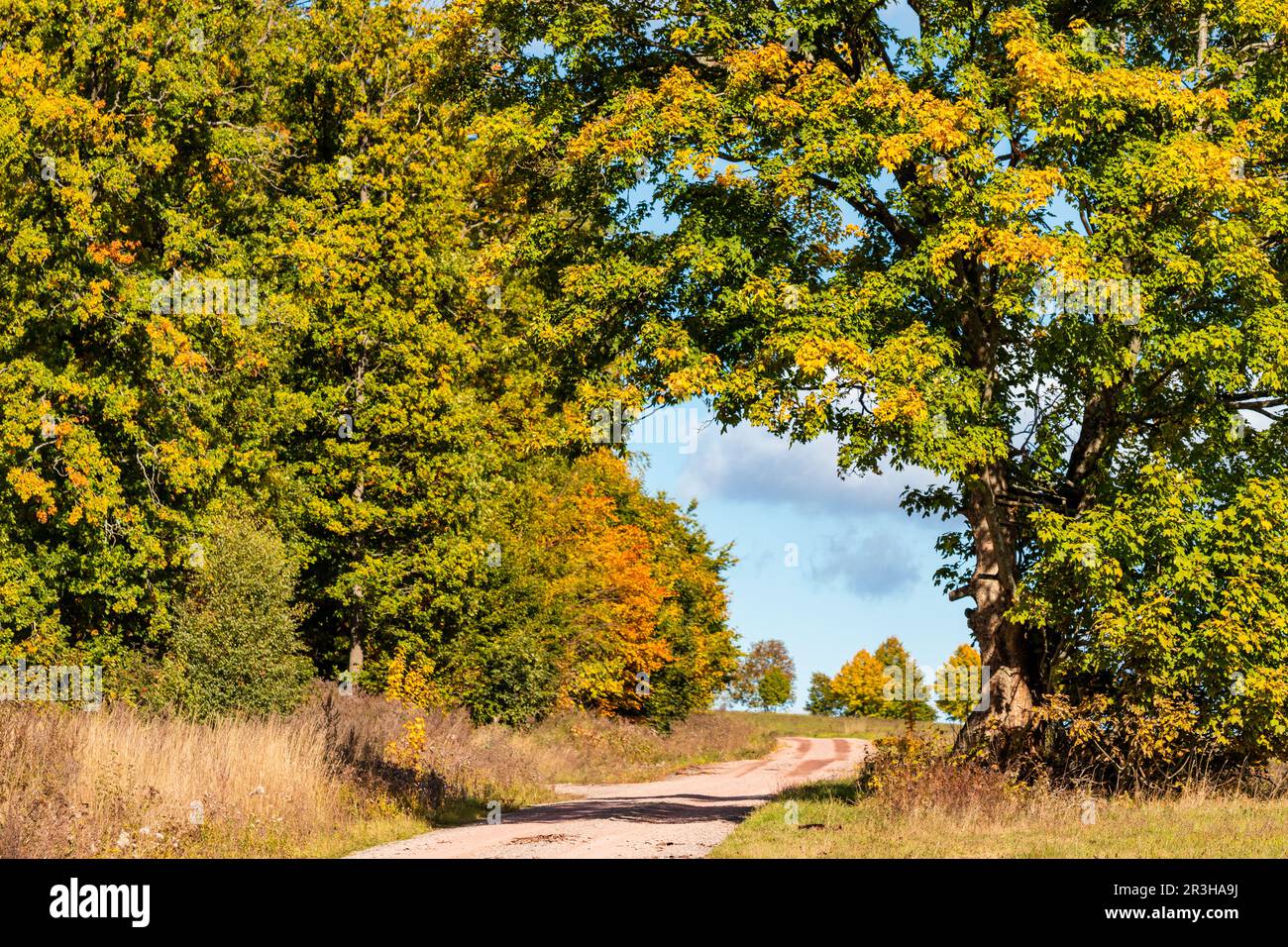 Herbstlandschaft mit Blattfarbe Stockfoto