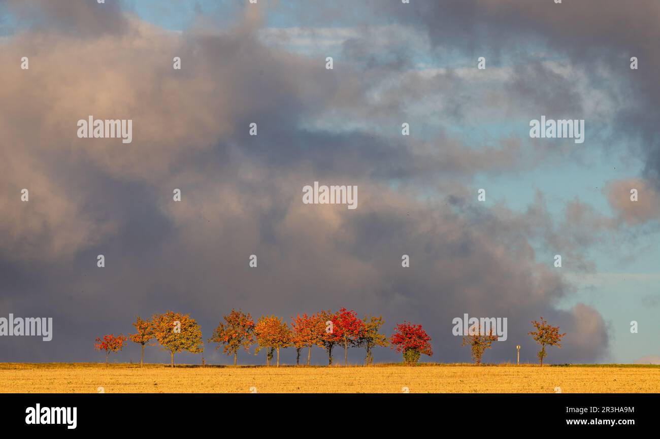 Herbstlandschaft mit Blattfarbe Stockfoto