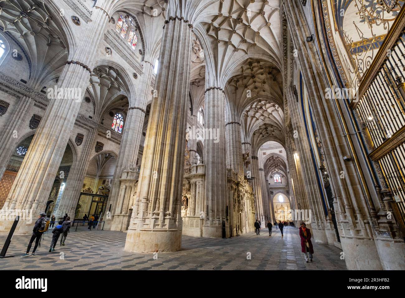 Catedral de la Asunción de la Virgen, Salamanca, Comunidad Autónoma de Castilla y León, Spanien. Stockfoto