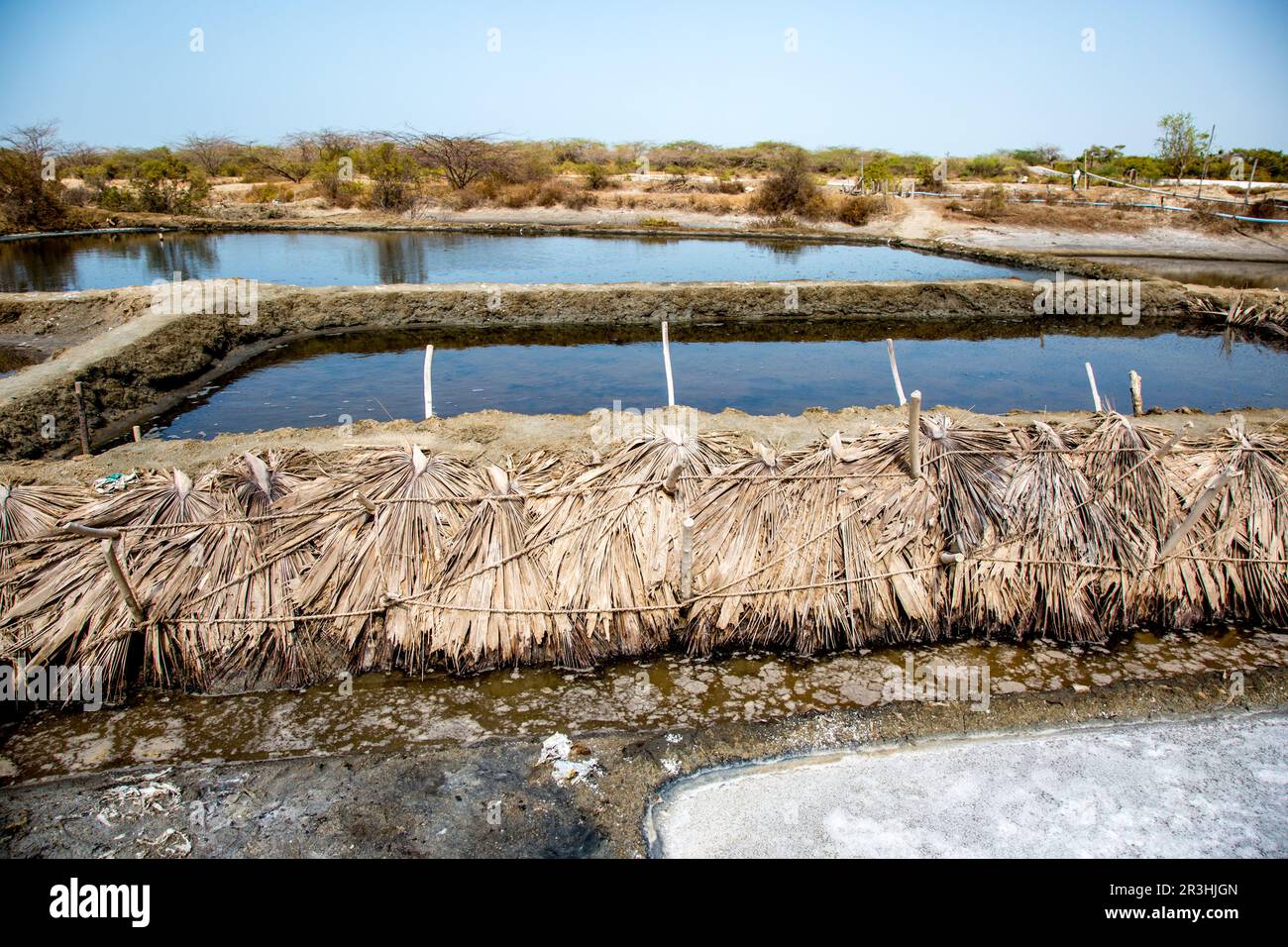 Palmenblätter werden verwendet, um die Kugeln um einen Salzteich zusammenzuhalten. Stockfoto