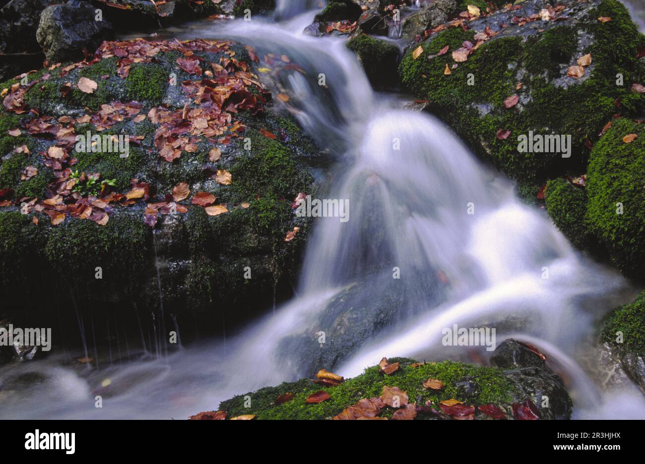 La Capradiza.Valle de Añisclo.Parque Nacional Ordesa y Monte Perdido..Cordillera Pirenaica. Huesca. España. Stockfoto