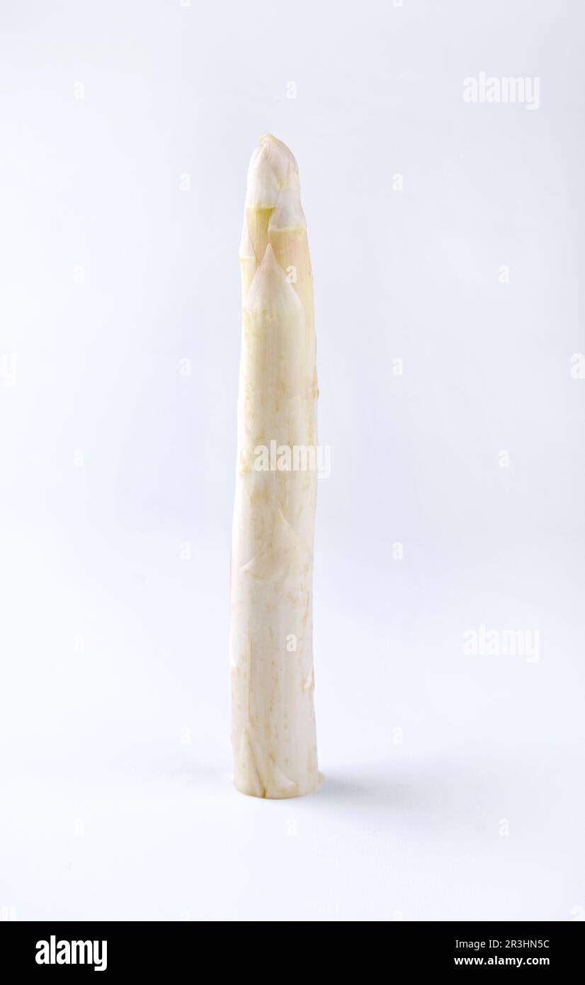 Eine Spargelzecke als grafisches Designelement Stockfoto