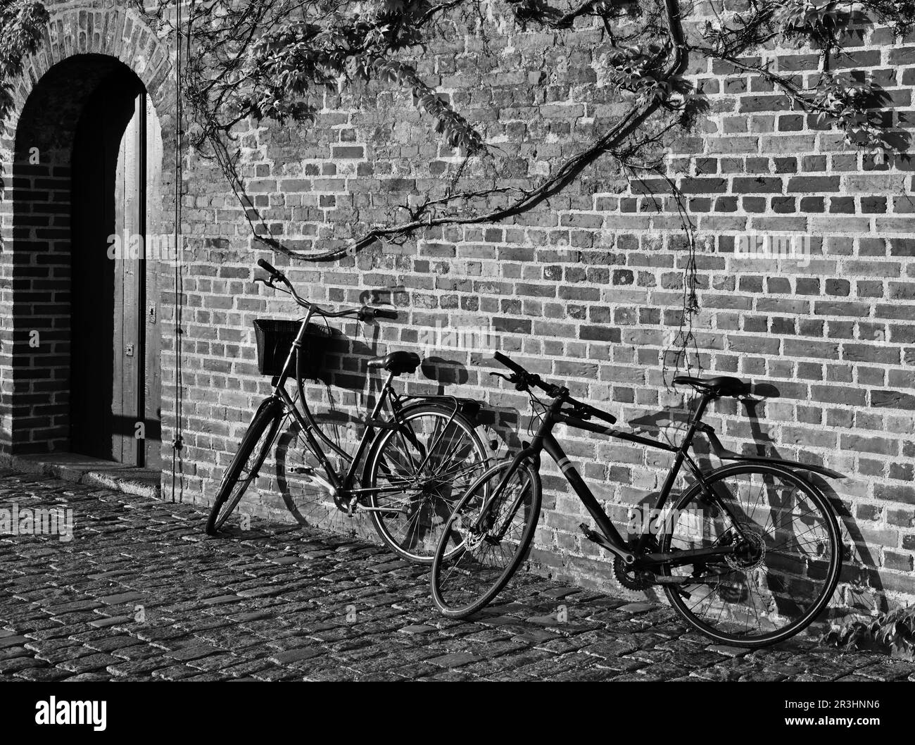 Fahrräder gegen Mauer in Kopenhagen Stockfoto