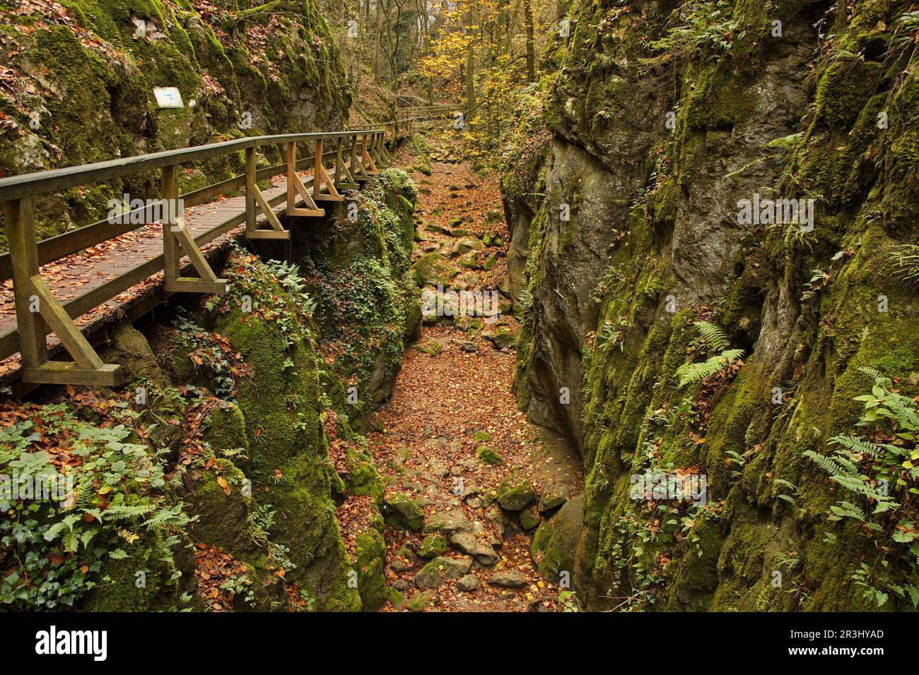 Wanderweg in Johannesbachklamm zwischen Würflach und Greith, Niederösterreich, Österreich, Europa, Mitteleuropa Stockfoto