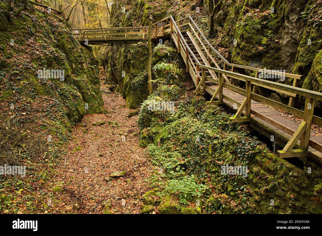 Wanderweg in Johannesbachklamm zwischen Würflach und Greith, Niederösterreich, Österreich, Europa, Mitteleuropa Stockfoto