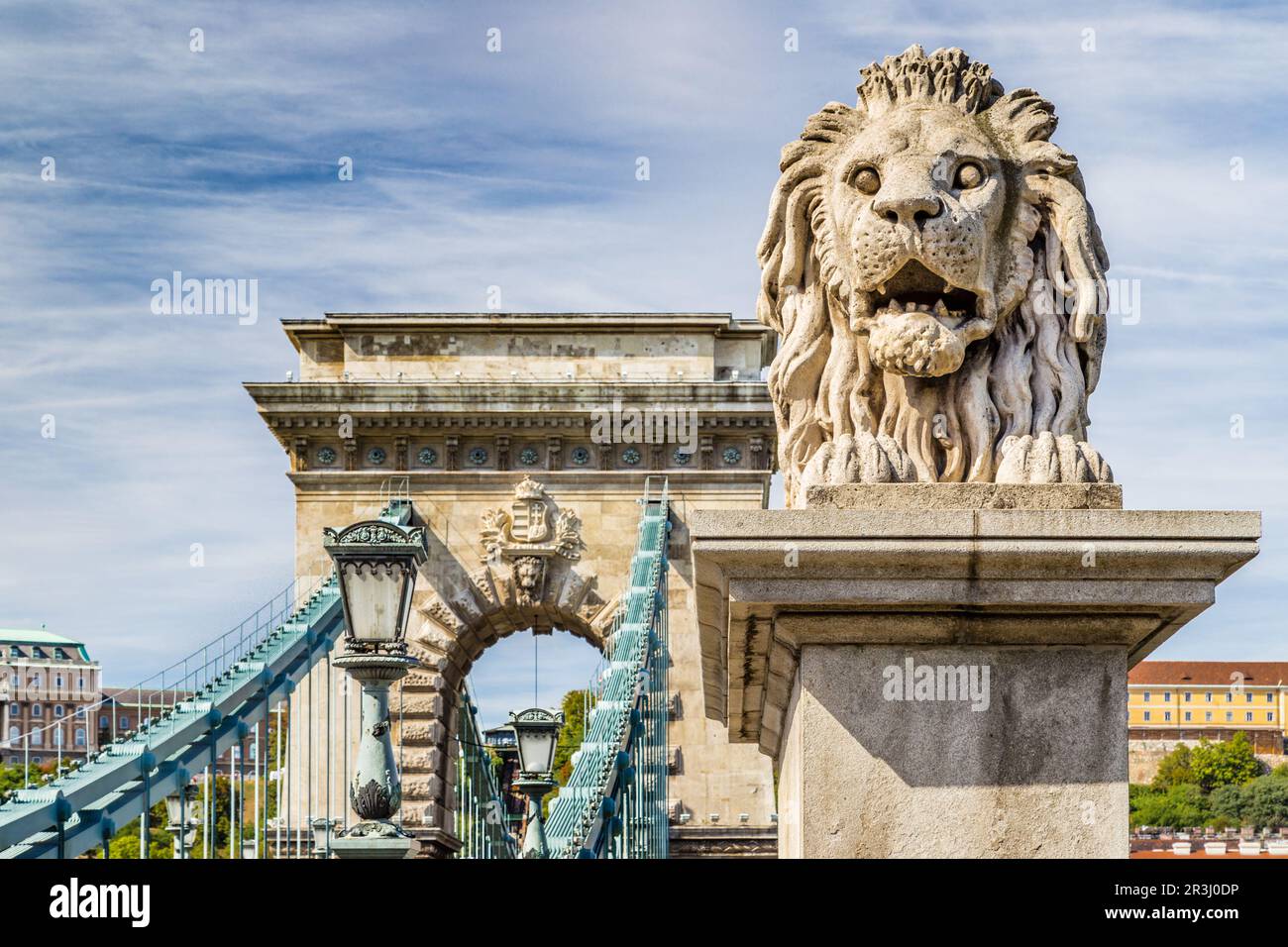 Löwe auf Kettenbrücke in Budapest Stockfoto