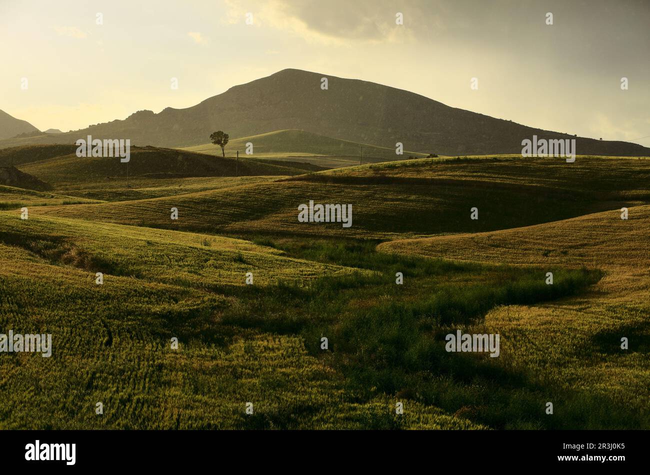 Sonnig und regnerisch in der Frühlingslandschaft von Sizilien, Italien Stockfoto