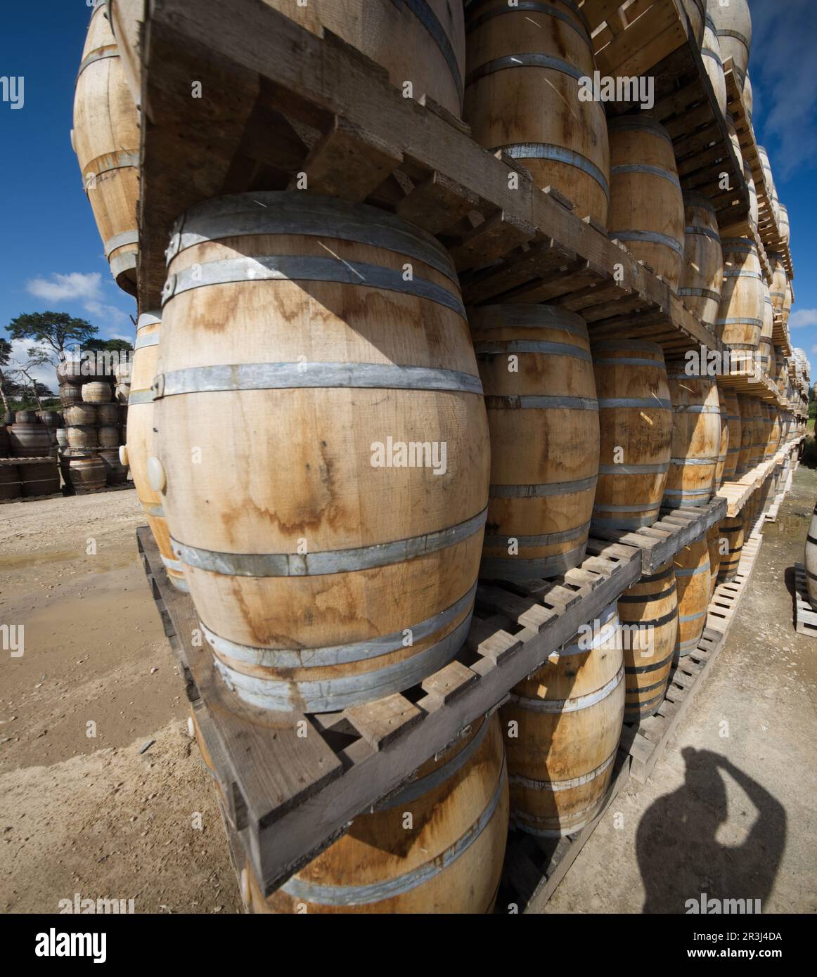 Glen Moray, Whisky, Destillerie, Elgin, Highland, Schottland, Großbritannien Stockfoto