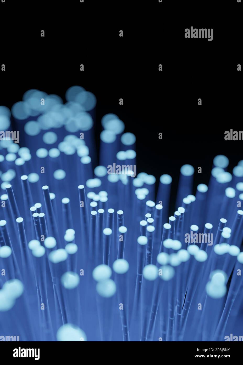 Glasfaser für die Datenübertragung Stockfoto
