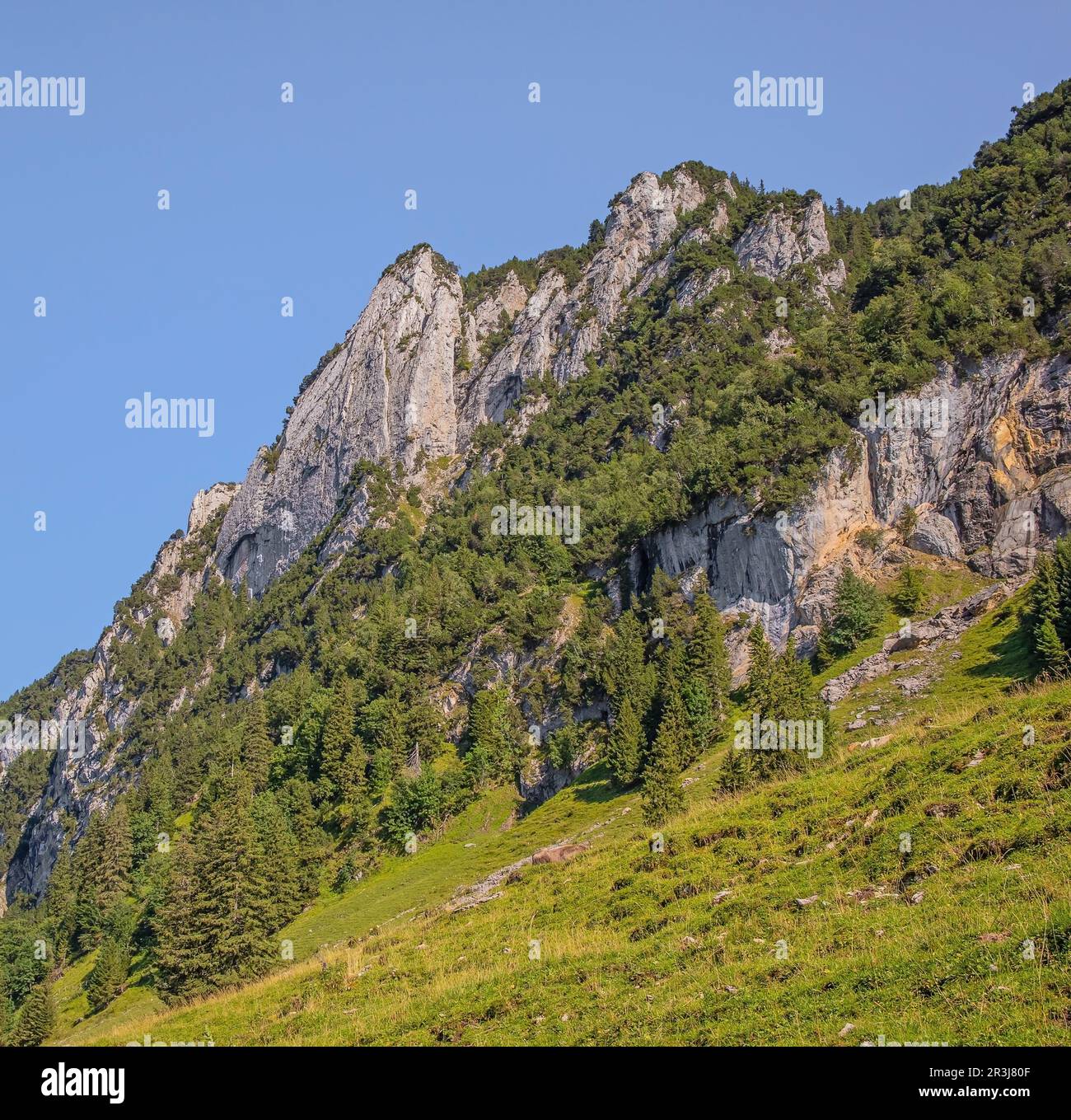Felslandschaft im Alpengebiet um die Staubern Stockfoto