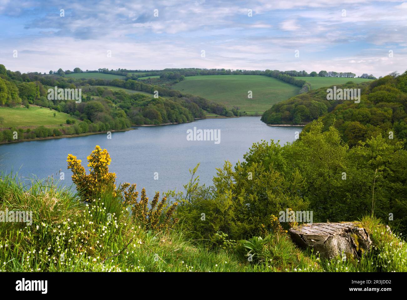 Clatworthy Reservoir in den Brendon Hills, Somerset, England. Stockfoto