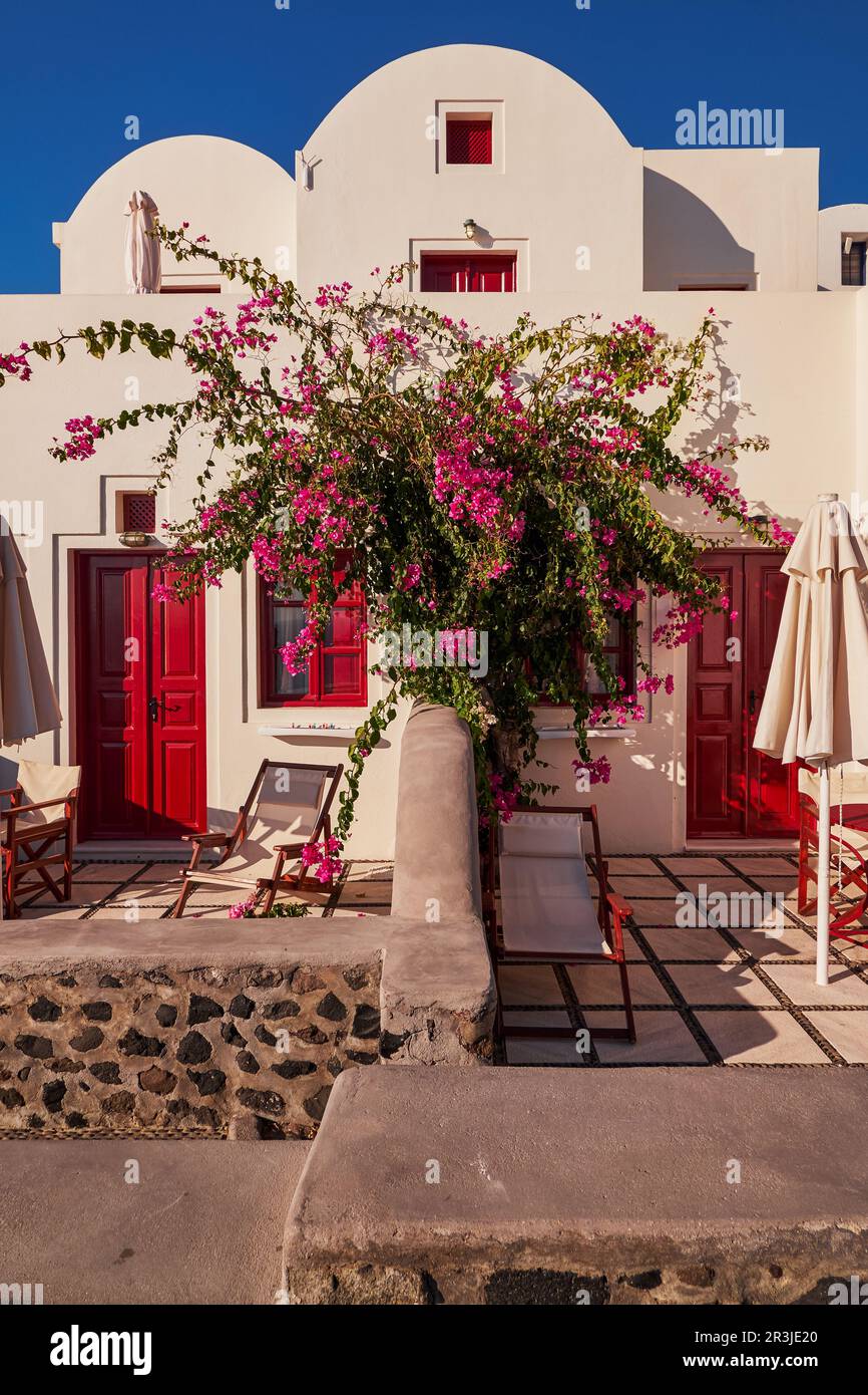 Weißes traditionelles Haus Oia mit roten Türen und Fenstern - Bougainvillea Flowers im Dorf Imerovigli auf der Insel Santorini, Griechenland - Stockfoto