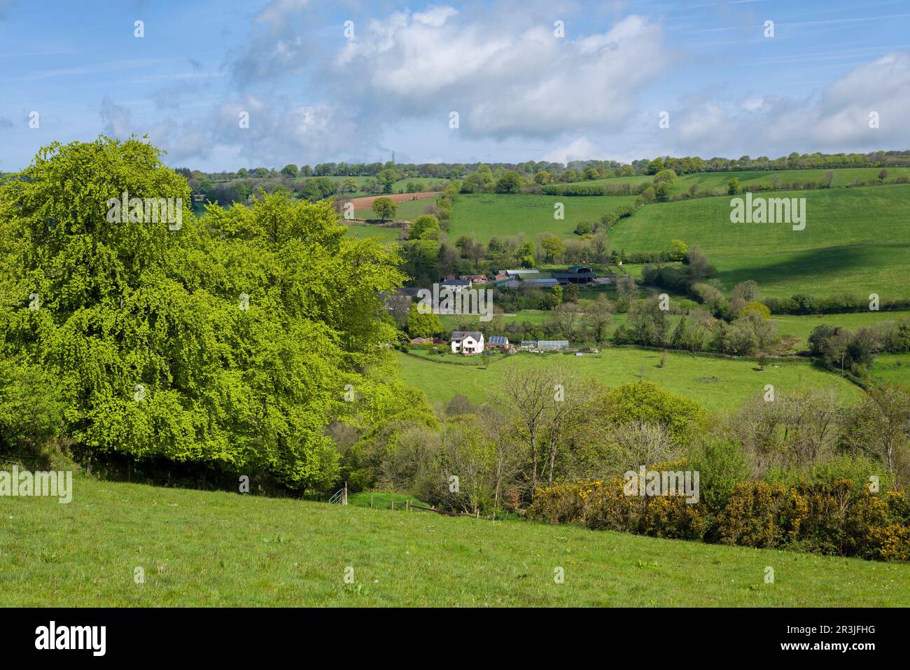 Higher Brown Farm und Middle Brown Farm in der Nähe von Clatworthy in den Brendon Hills, Somerset, England. Stockfoto
