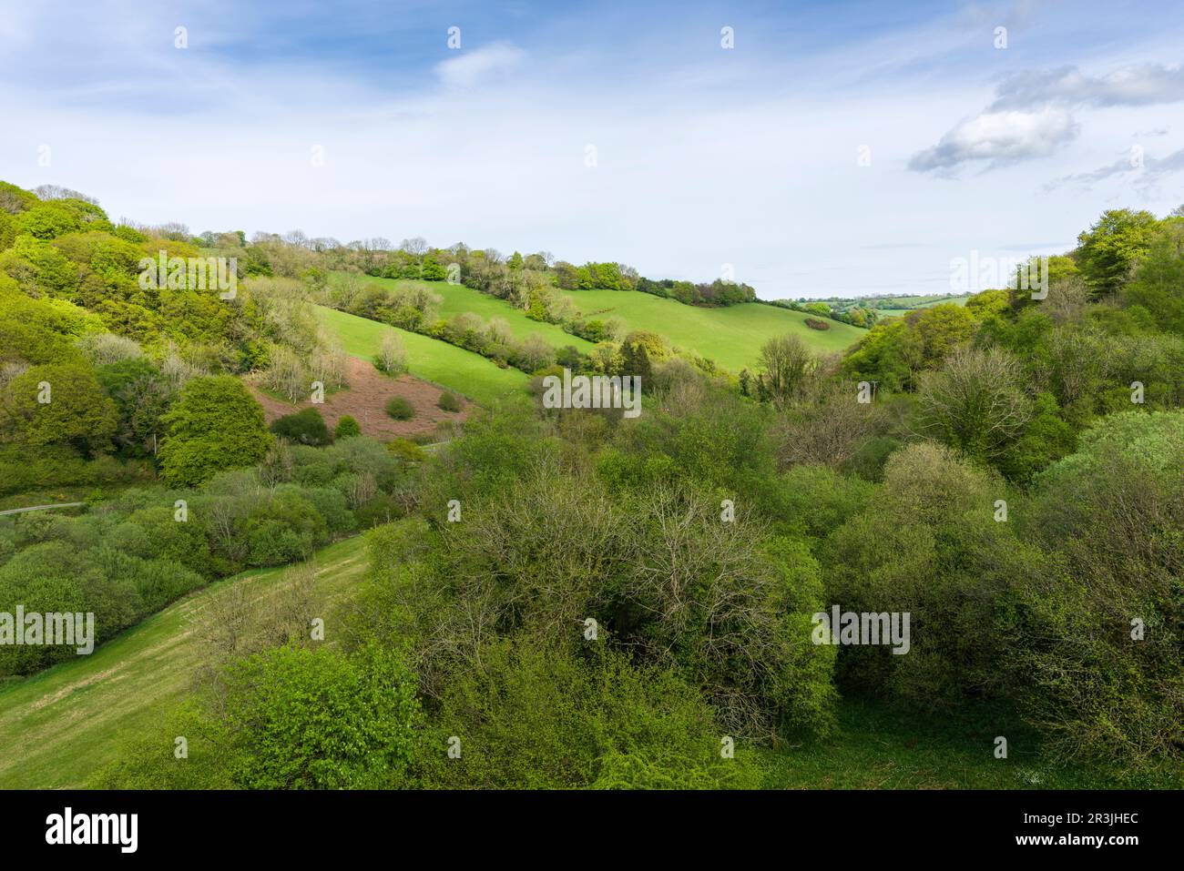 Der Blick über den River Tone vom Clatworthy Reservoir Damm in den Brendon Hills, Somerset, England. Stockfoto