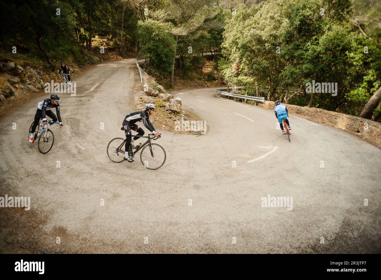 Ciclistas ascendiendo el Coll DHonor, carretera Bunyola-Orient, sierra de Tramuntana, mallorca, balearen, España, europa. Stockfoto