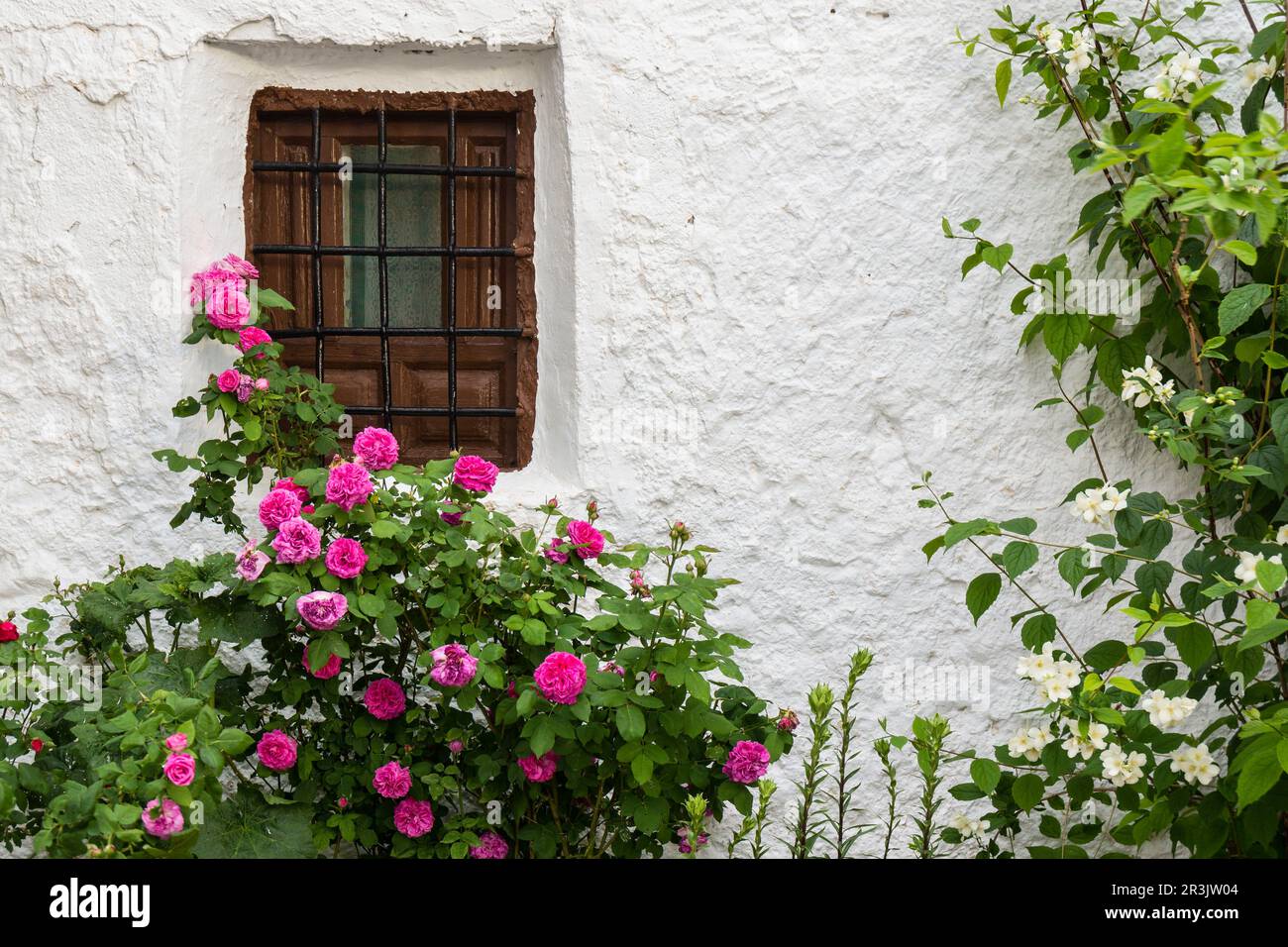 Casas de Carrasco, Parque Natural Sierras de Cazorla, Segura y Las Villas, Jaen, Andalusien, Spanien. Stockfoto