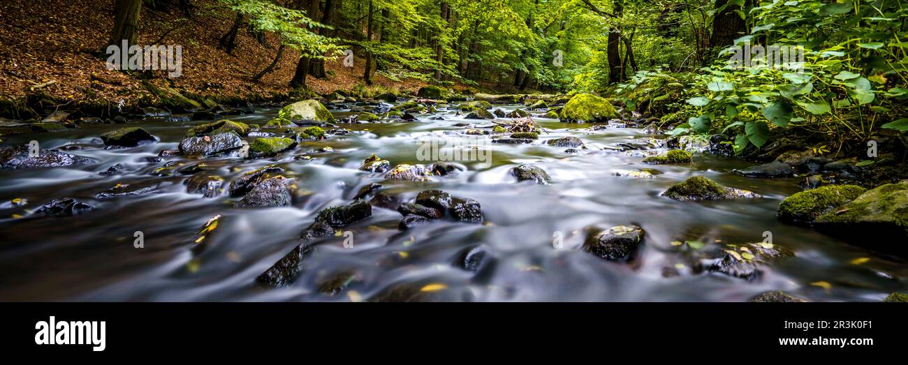 Herbstmagie auf der Georgewitzer-Skala / LÃ¶bauer Water 5 Stockfoto