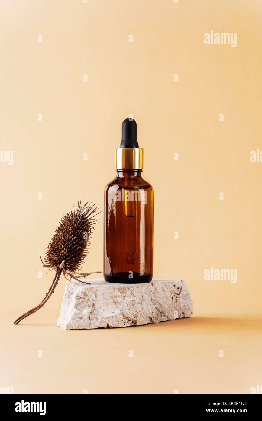 Braune kosmetische Serumflasche auf Natursteinpodium und trockene Distelblüte auf neutralem beigefarbenem Hintergrund. Nahaufnahme. Stockfoto