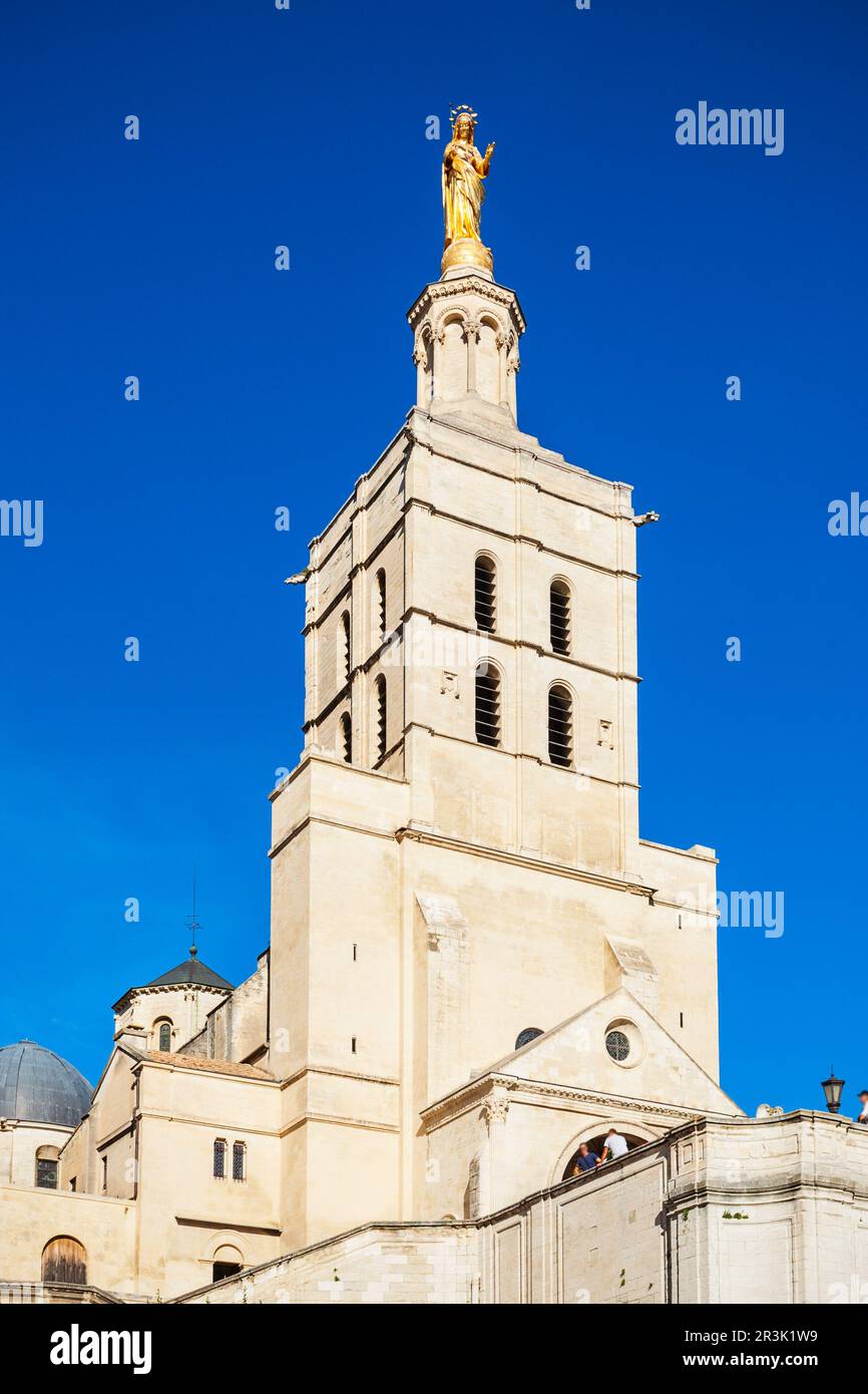 In der Kathedrale von Avignon Avignon Stadt, Südfrankreich. Stockfoto