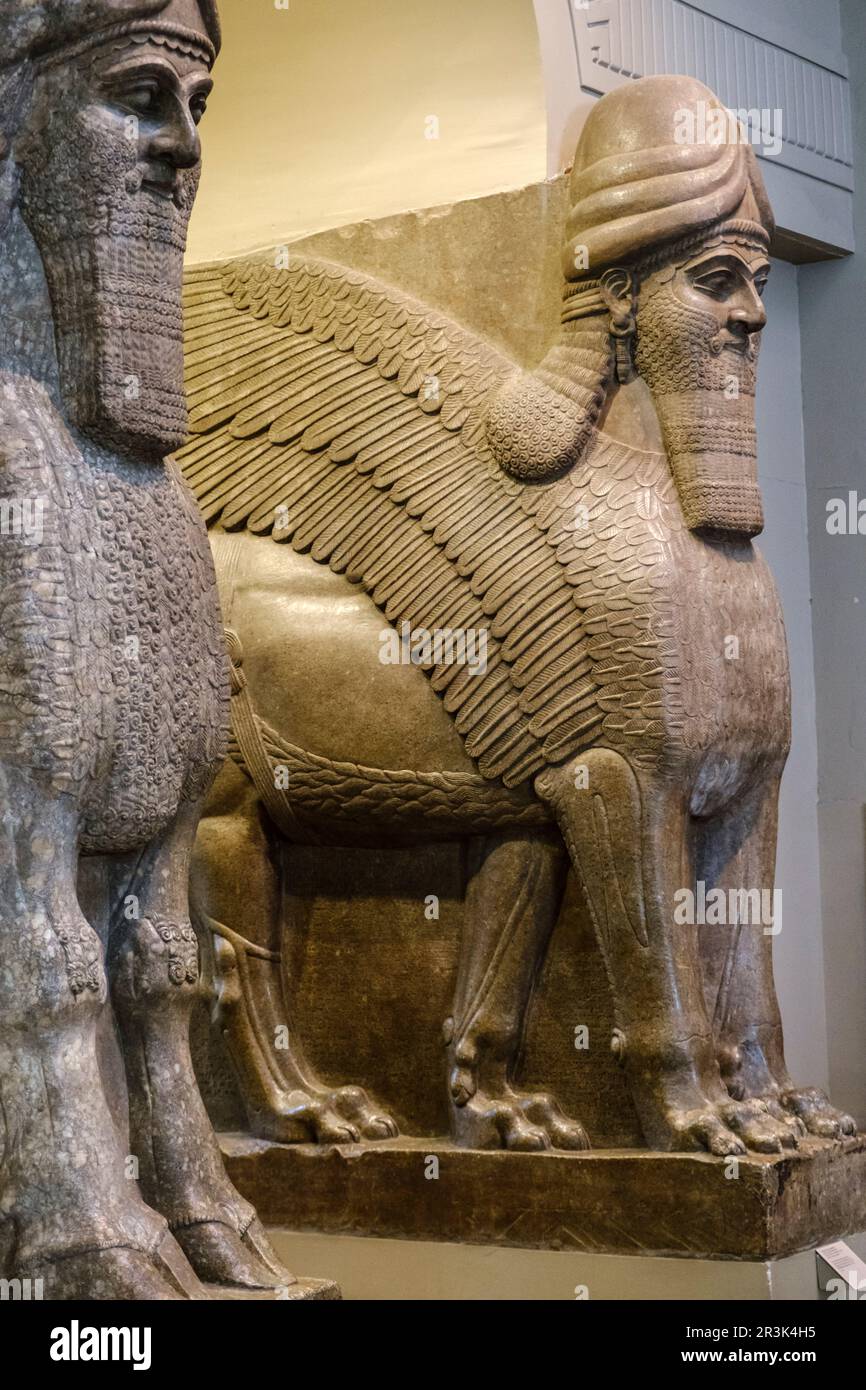 Geflügelter, menschkopfiger Stier und geflügelter, menschkopfiger Löwe, Assyrer, 865-860 v. Chr., aus dem Nimrud-Nordwestpalast, britisches Museum, London, England, Großbritannien. Stockfoto