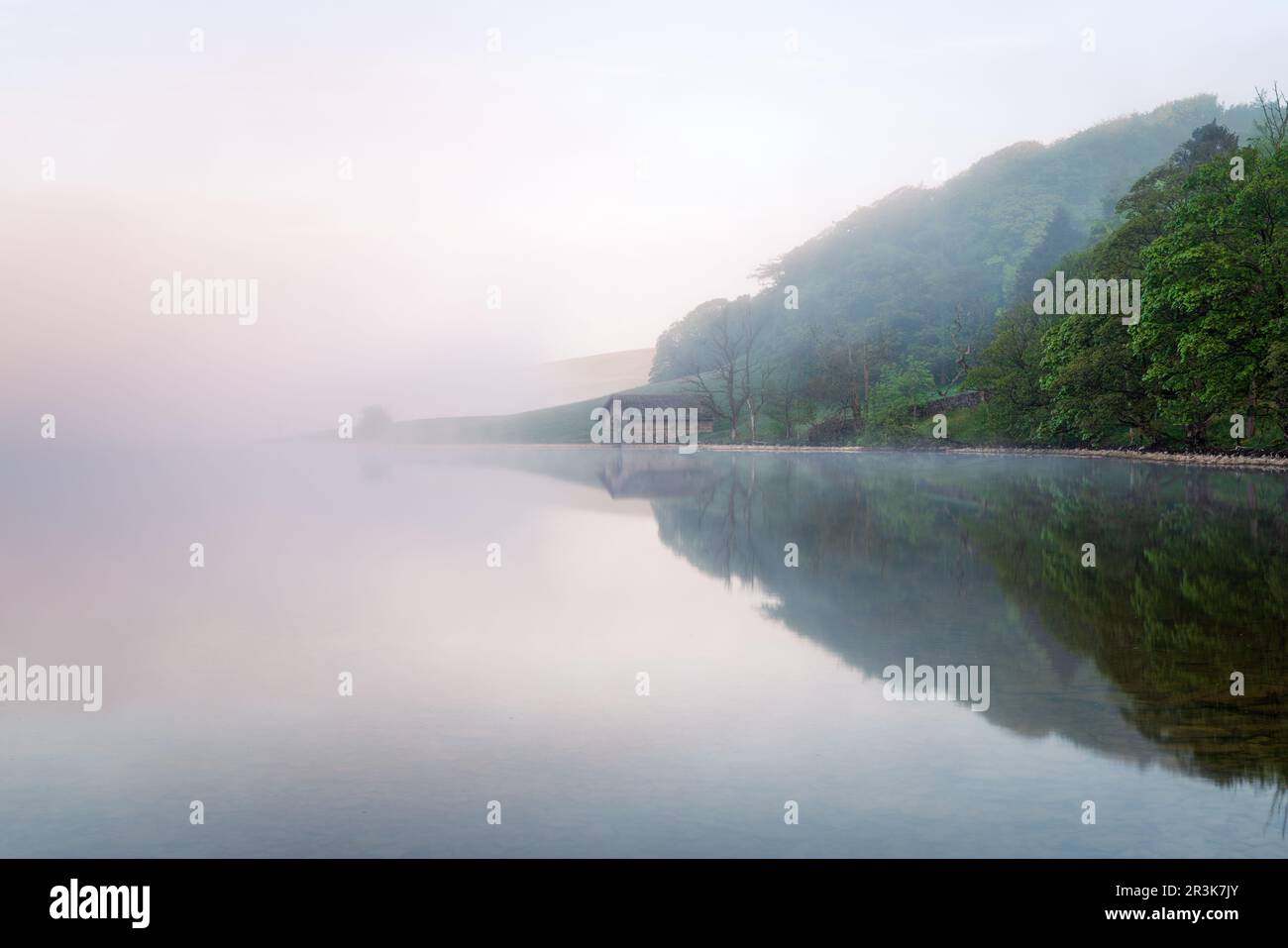 Dichter Nebel schwebt an einem späten Frühlingsmorgen in den Yorkshire Dales über Malham Tarn mit einem schwachen Rot der Sonnenaufgangsfarbe, die die Landschaft beleuchtet. Stockfoto