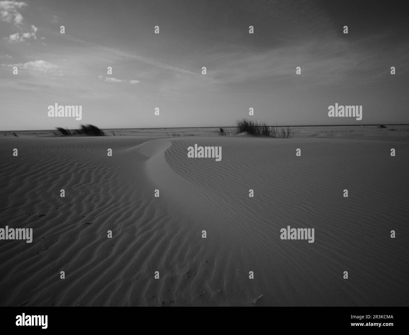 Der Wind hat den Sand auf den westfriesischen Inseln in den niederlanden gespült Stockfoto