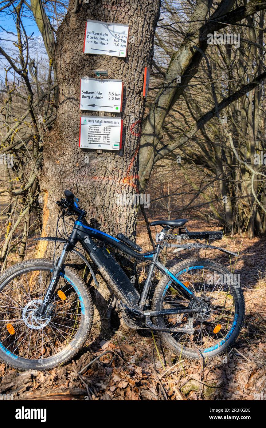 E-Bike im Harz Mountains Selketal Stockfoto