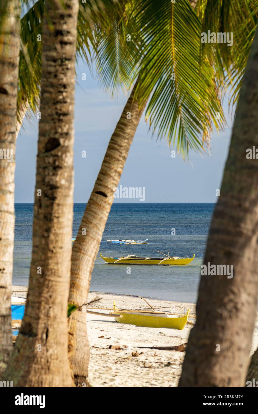 Siquijor Strand bei Sonnenuntergang, Palmen und Bangka Boote Stockfoto