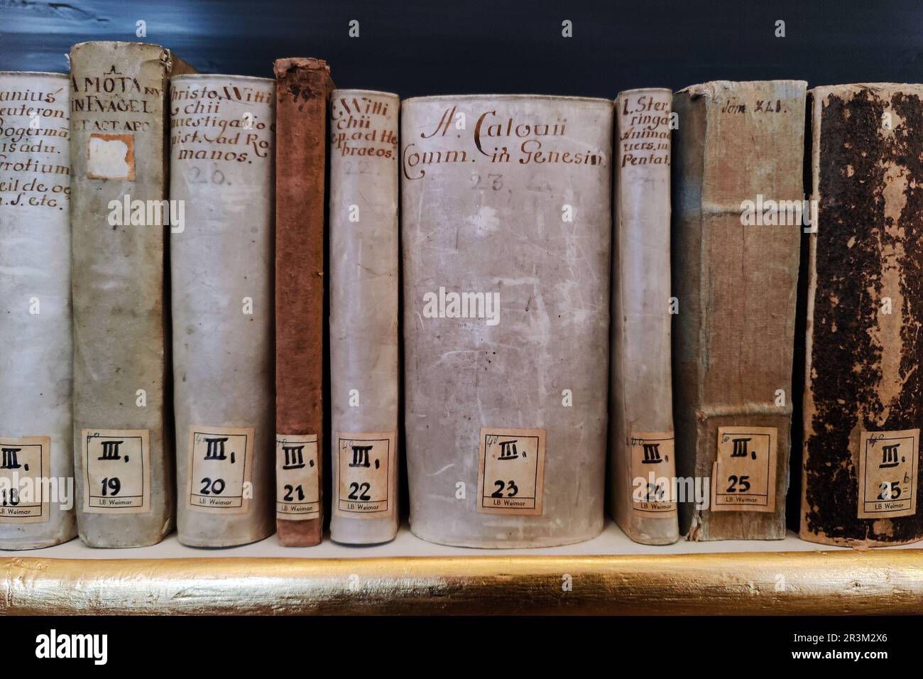 Alte Bücher in der Herzogin Anna Amalia Bibliothek, Weimar, Thüringen, Deutschland, Europa Stockfoto