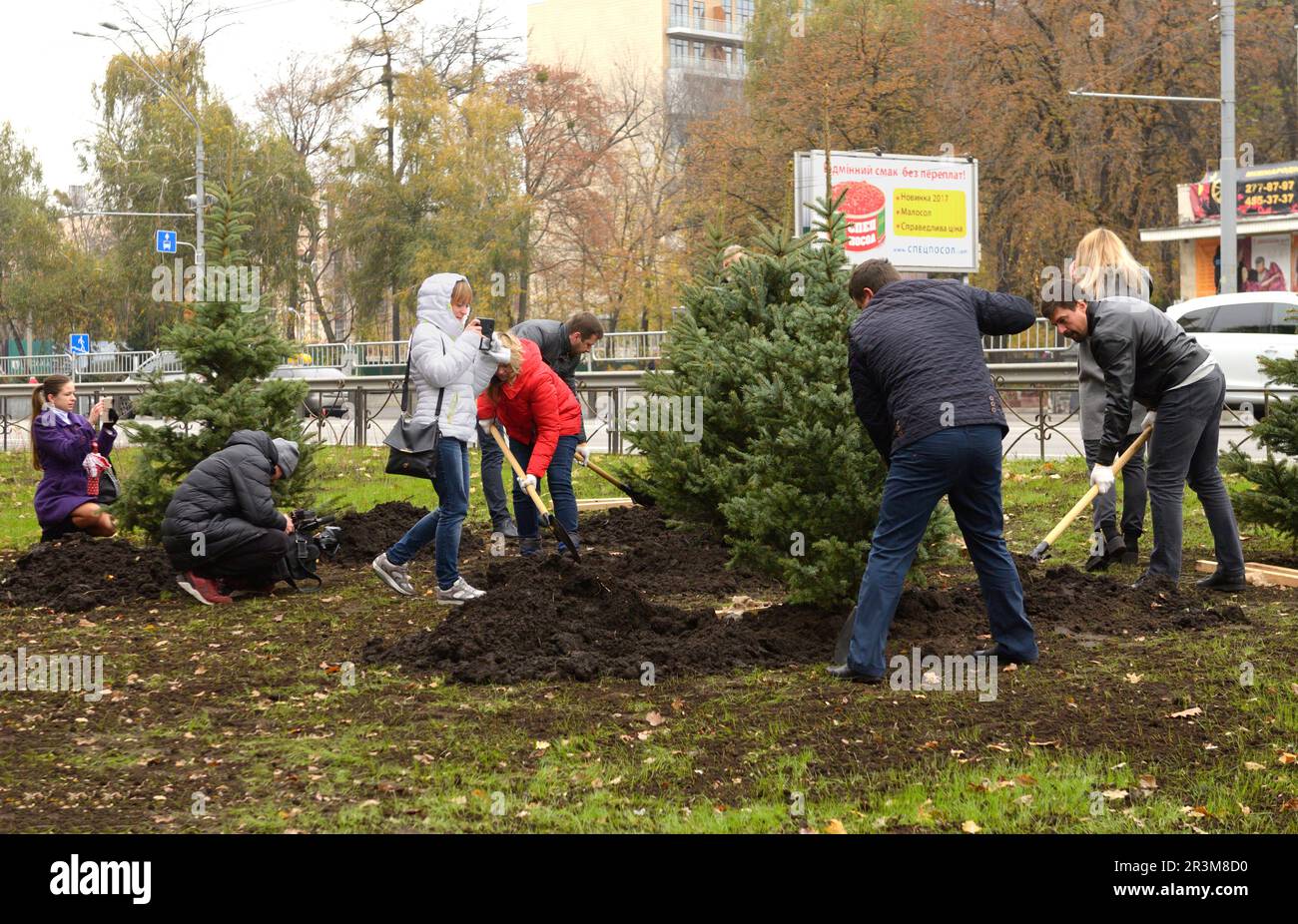 Urbanes Grün. Menschen grüne Aktivisten Pflanzen Fichten mit Schaufeln in einem Stadtpark. Kiew, Ukraine Stockfoto