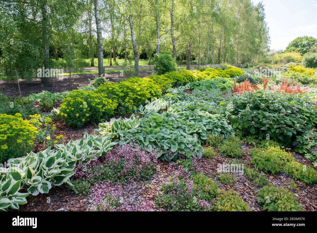 Schattige Pflanzen in den Breezy Knies Gardens Stockfoto