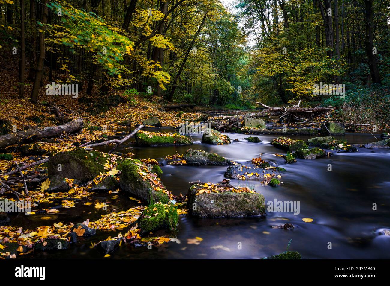 Herbstzauber auf einer Flusslandschaft in Lusatia - LÃ¶bauer Wasser 18 Stockfoto