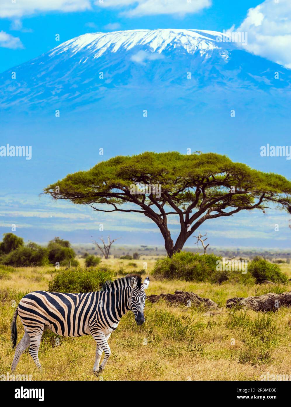 Ausflug zum Horn von Afrika Stockfoto