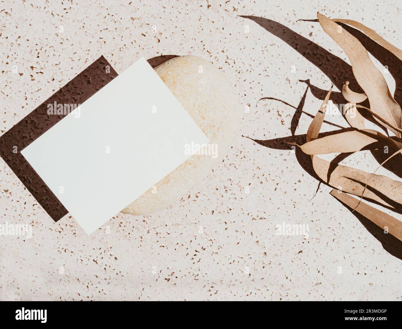 Weiße leere Karte auf Stein, trockene Blumen auf grauem Betonhintergrund mit Schatten Draufsicht. Formulare für Unternehmen, Werbung. Leerer Bereich für Text. Mindest Stockfoto