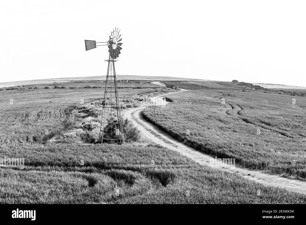 Bredasdorp, Südafrika - 24. September 2022: Eine Windmühle zwischen grünen Weizenfeldern auf der Straße von Bredasdorp nach Malagas in der Provinz Westkap. Mo Stockfoto