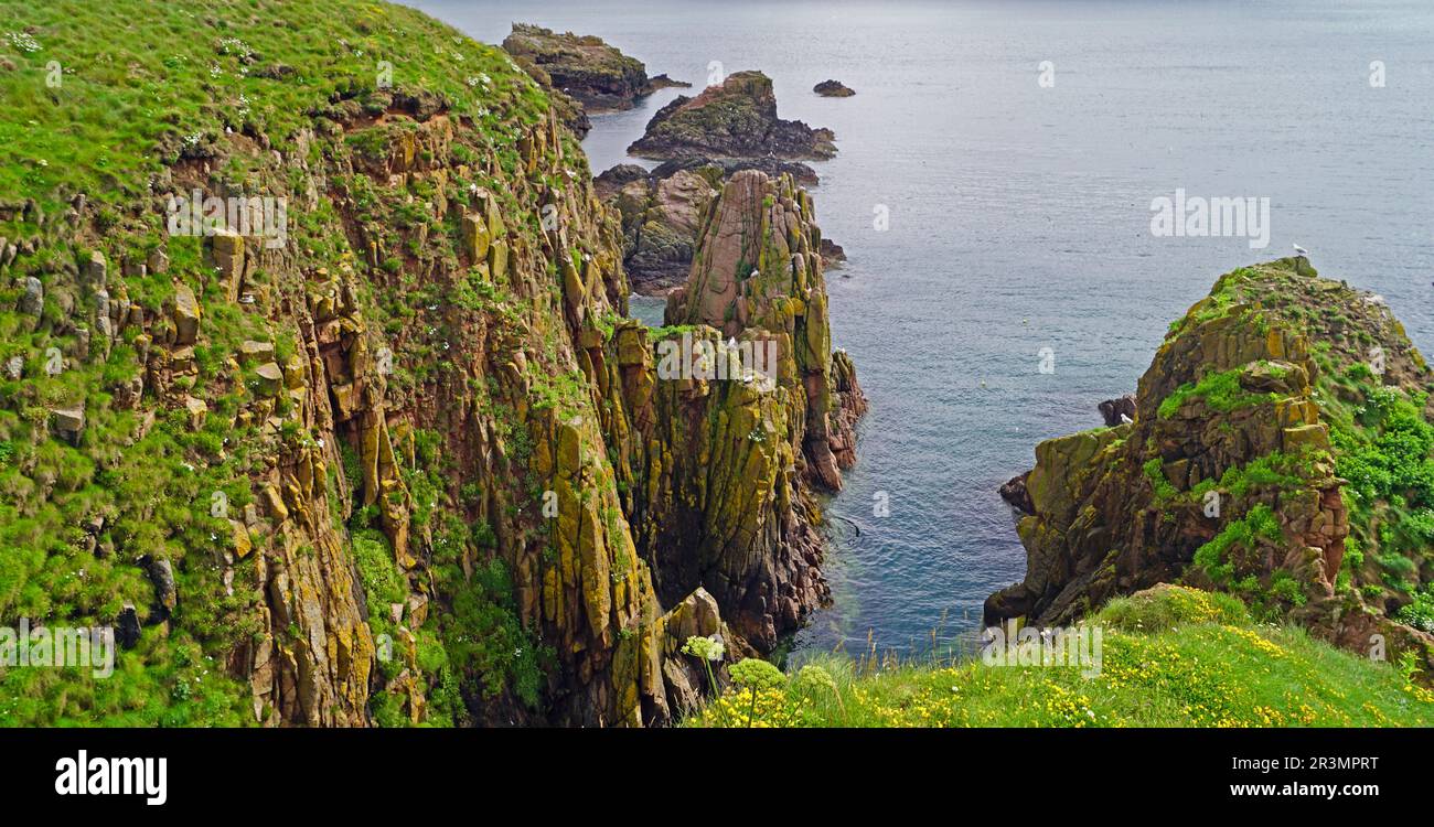 Felsige Küste, etwa einen Kilometer östlich von Cruden Bay Stockfoto